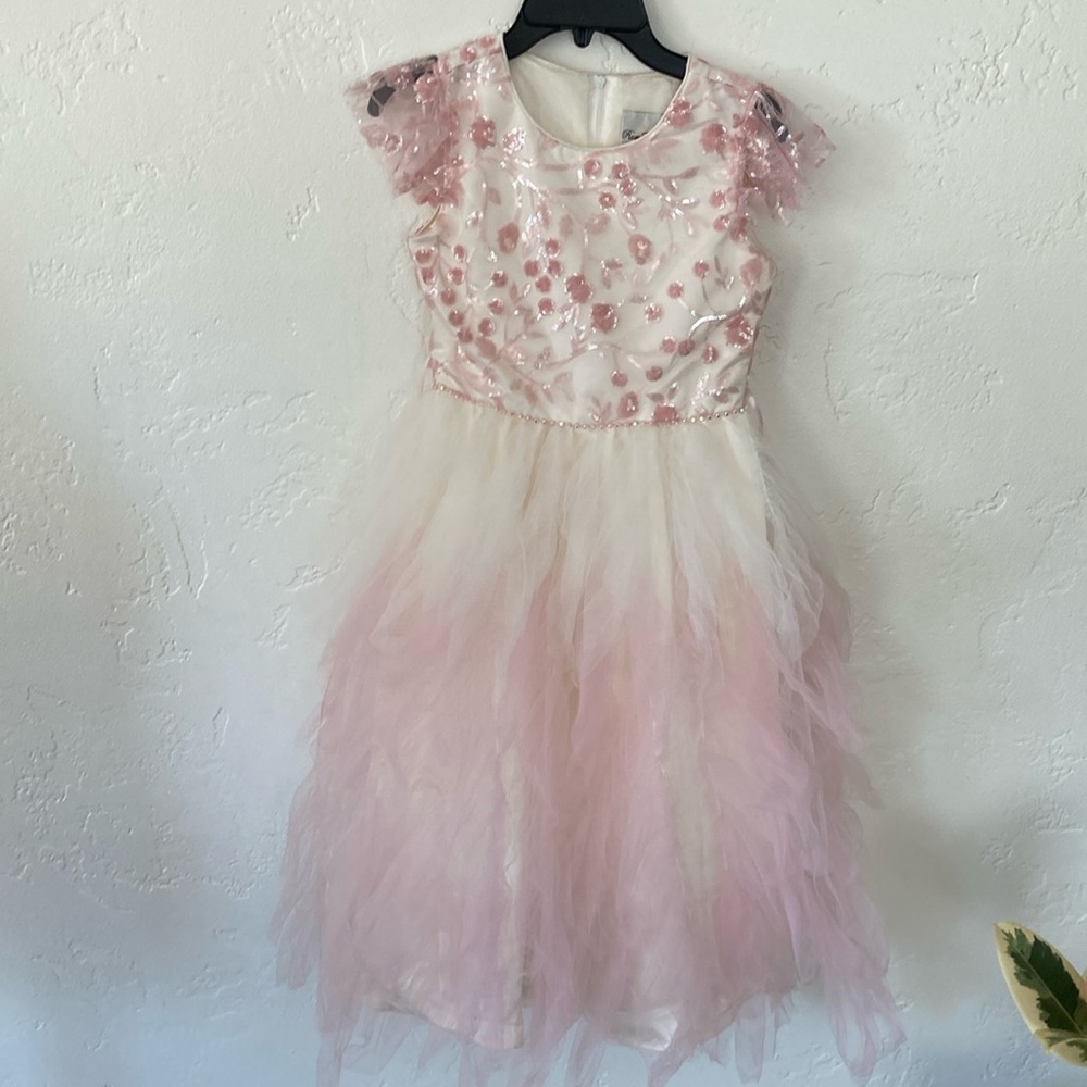 Gorgeous dress with ombré bottom